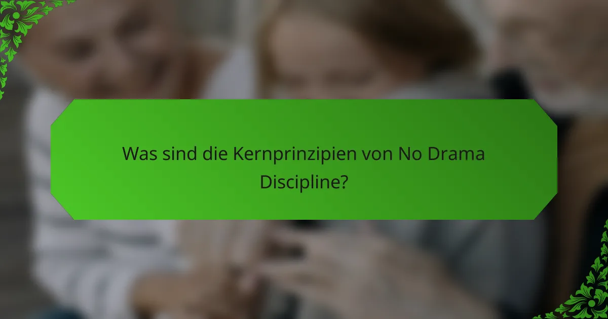 Was sind die Kernprinzipien von No Drama Discipline?
