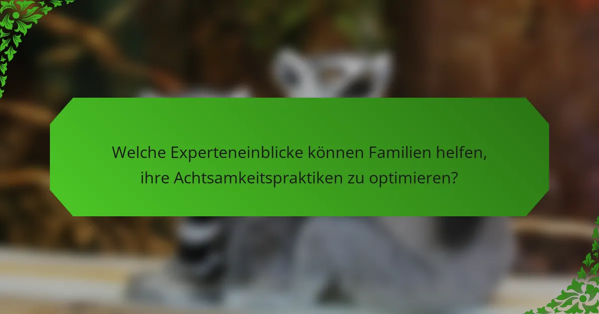 Welche Experteneinblicke können Familien helfen, ihre Achtsamkeitspraktiken zu optimieren?